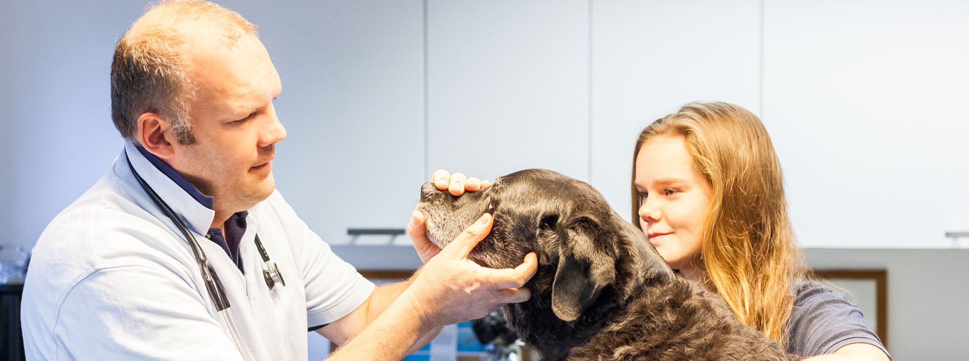 Tierarztpraxis Wolfgang Kahle (Rufbereitschaft 07:00 - 20:00 Uhr)  